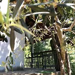 Bandici House Апартаменти Подгориця