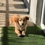 Bandici House شقة بودغوريتْسا