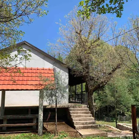Bandici House * Podgorica