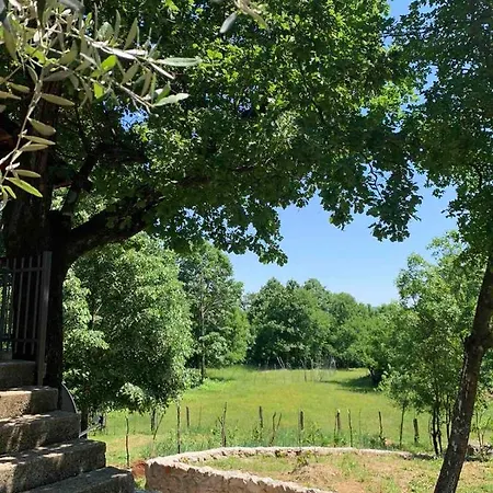 Bandici House