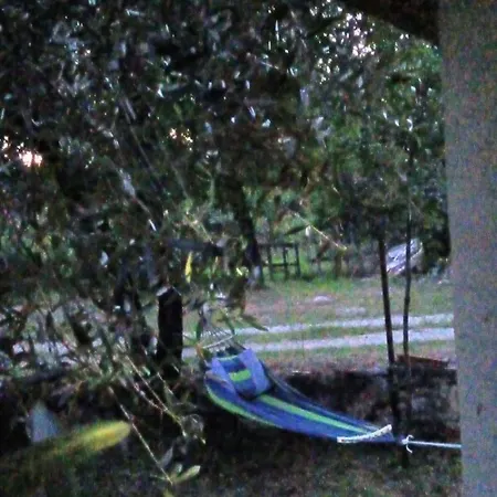 Appartement Bandici House *